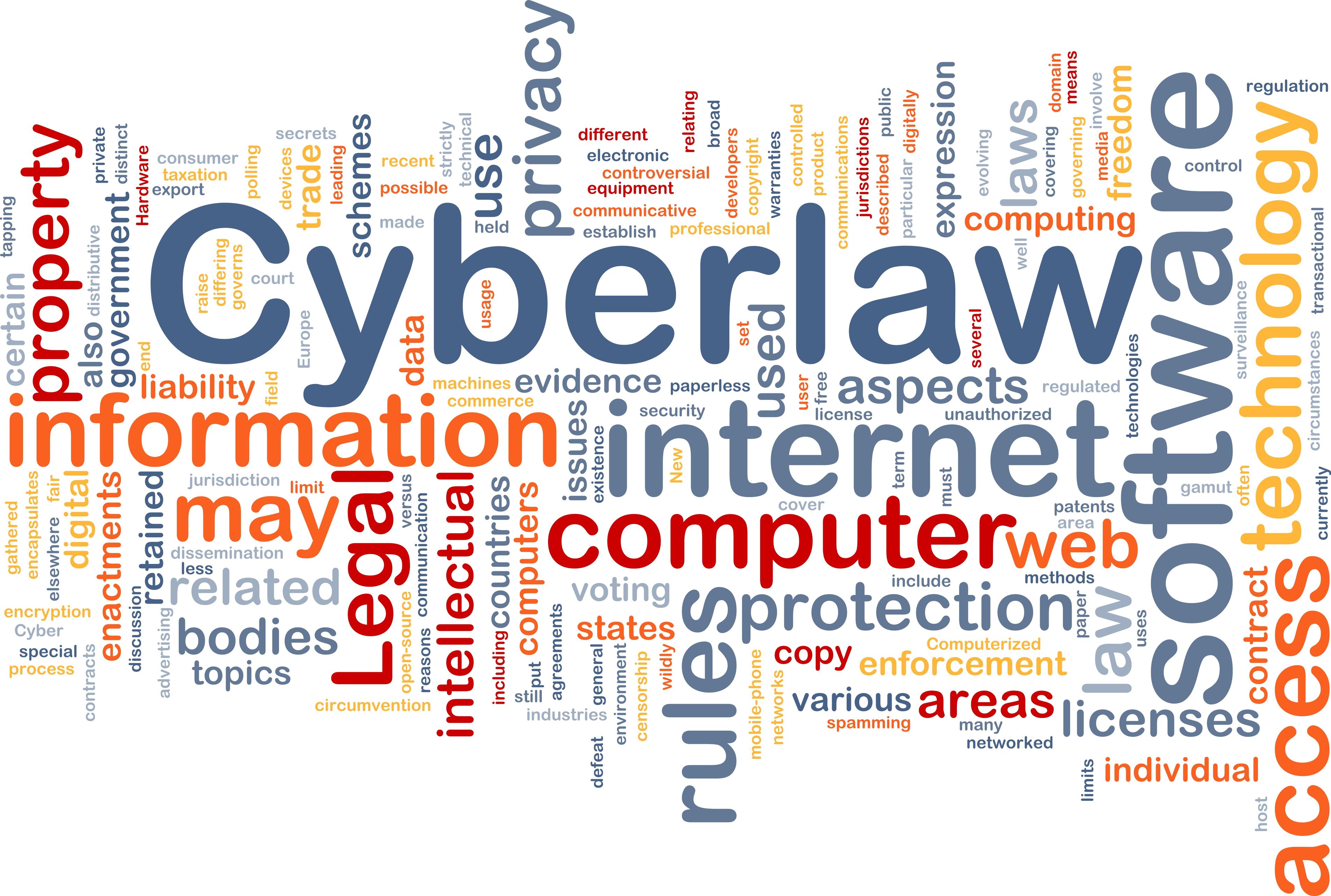 cybercrime law essay