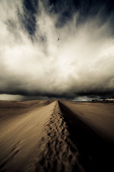 13-Vehicle Pile Up, 1 Fatality in Texas Panhandle Dust Storm