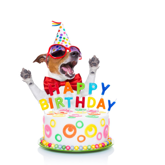 Happy-Birthday-Dog-Singing-580x580.jpg