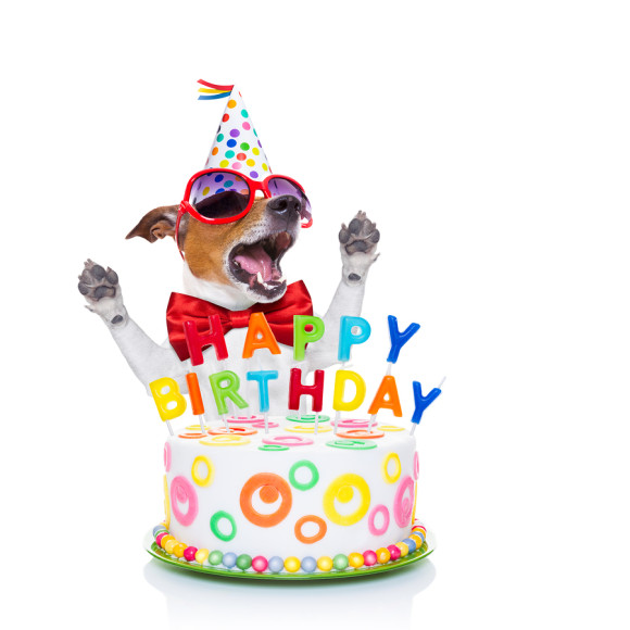 Happy Birthday Dog Singing