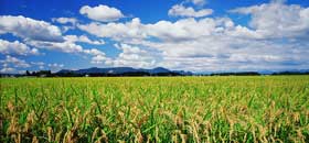 farmers pushed to get insurance