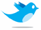Twitter Logo
