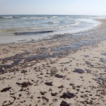 bp oil spill insurance