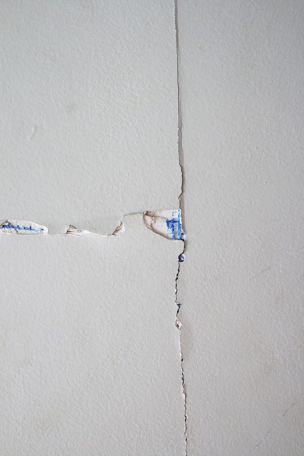 Insurers Drywall Litigation Success