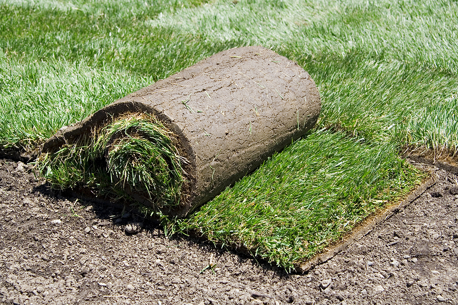 landscapers insurance required in rhode island