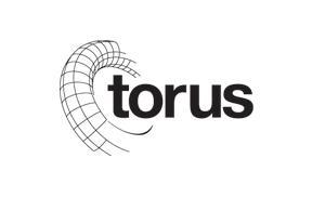 Torus Insurance