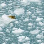 court considers global warming