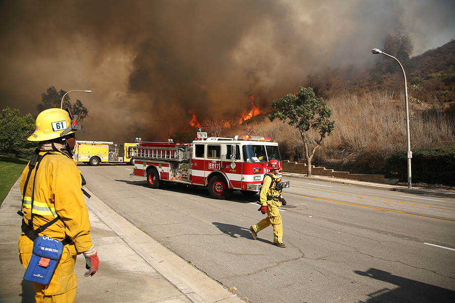 wildfire firefighers