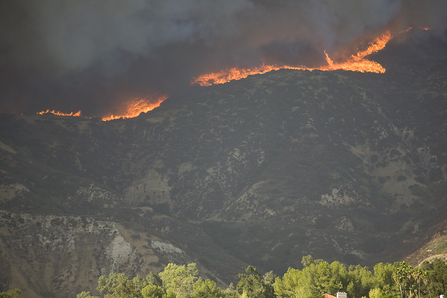 burning wildfires