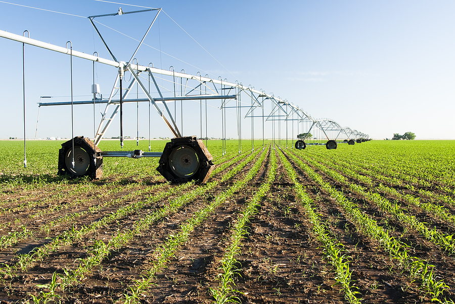 irrigation system