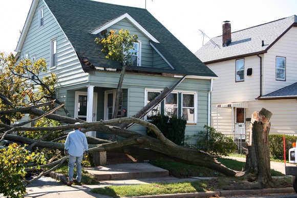 tree damaged house