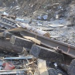 The Great East Japan Earthquake