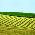 drought-costs
