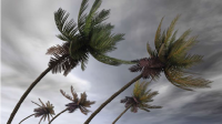storm2