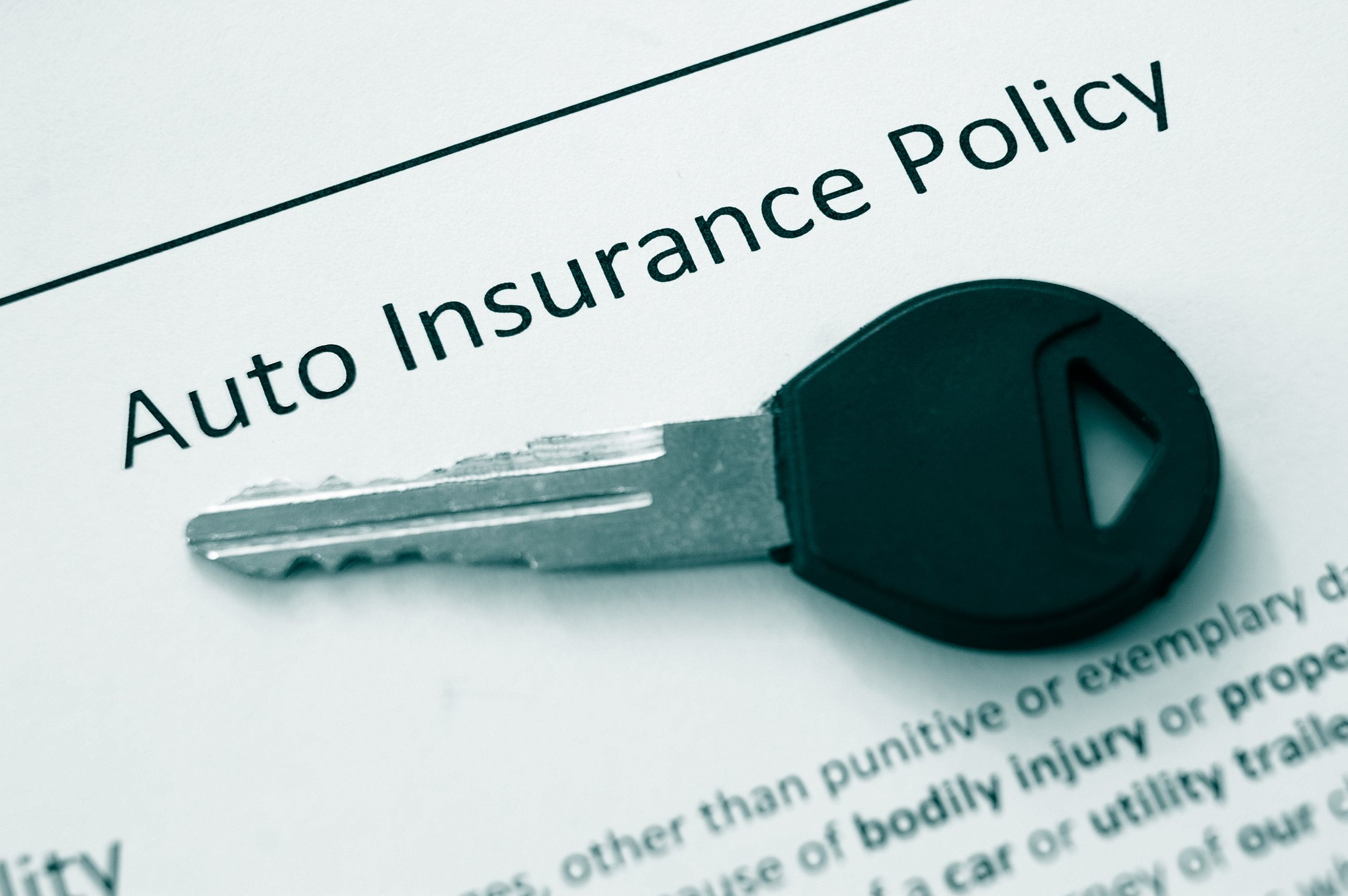 Auto Insurance Renewal