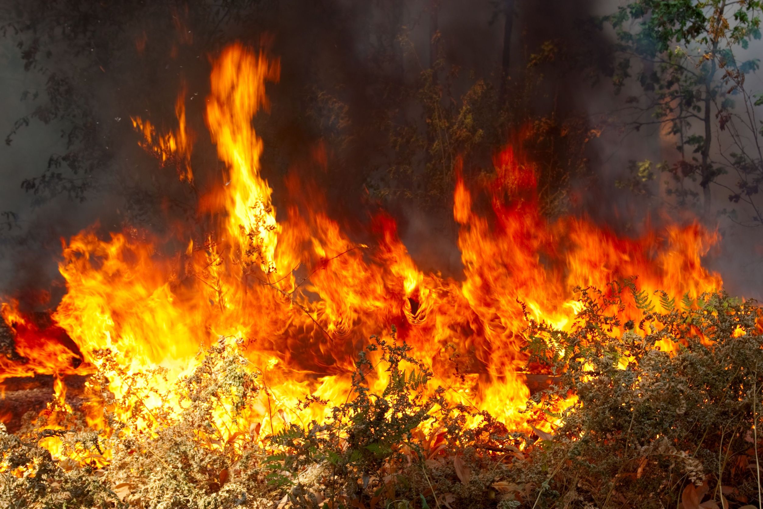 Following Years of Deadly Wildfires, PG&E Again Vows to Do Better