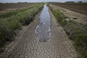 Richvale, Calif. Drought (AP Photo/Jae C. Hong)