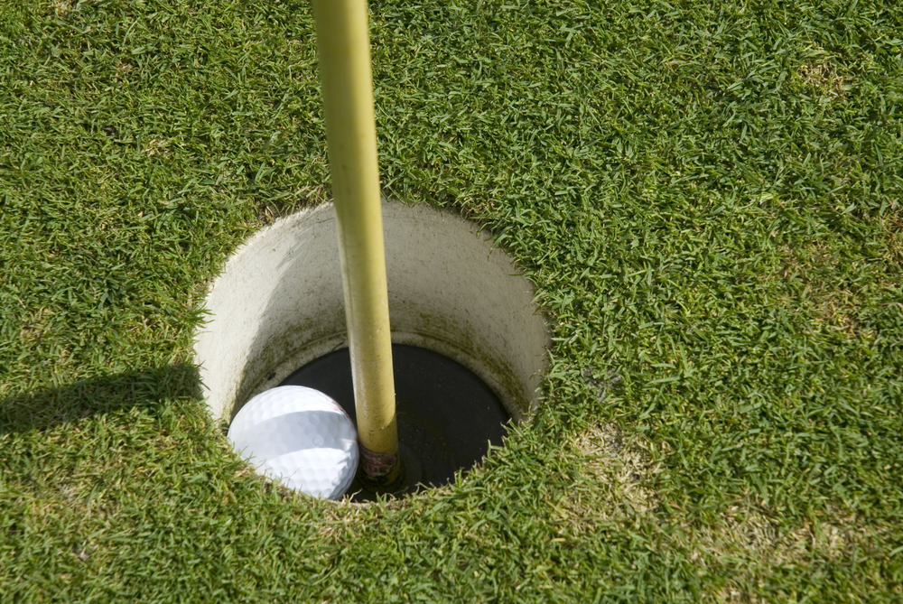 Two Hole-in-One Insurance Programs to Become One