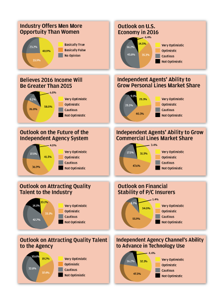 2016-young-agents-piecharts