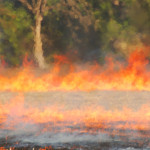 oregon-lloyds-wildfire-insurance
