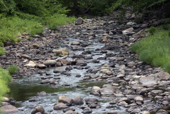 In this photo taken Wednesday July 20, 2016, Otter Brook is seen almost dry in Keene, N.H. Parts of the Northeast are in the grips of a drought that has led to water restrictions, wrought havoc on gardens and raised concerns among farmers. (AP Photo/Jim Cole)