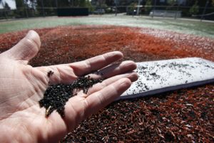 In this May 17, 2009, photo a man holds bits of ground-up tires, used as filler between blades of artificial grass, on a playing field made of synthetic turf in a north Seattle neighborhood. In internal Environmental Protection Agency documents, the EPA's own scientists have pointed to research suggesting the potential hazard of repeated exposure to the bits of shredded tire, that can contain carcinogens and other chemicals. (AP Photo/Elaine Thompson)