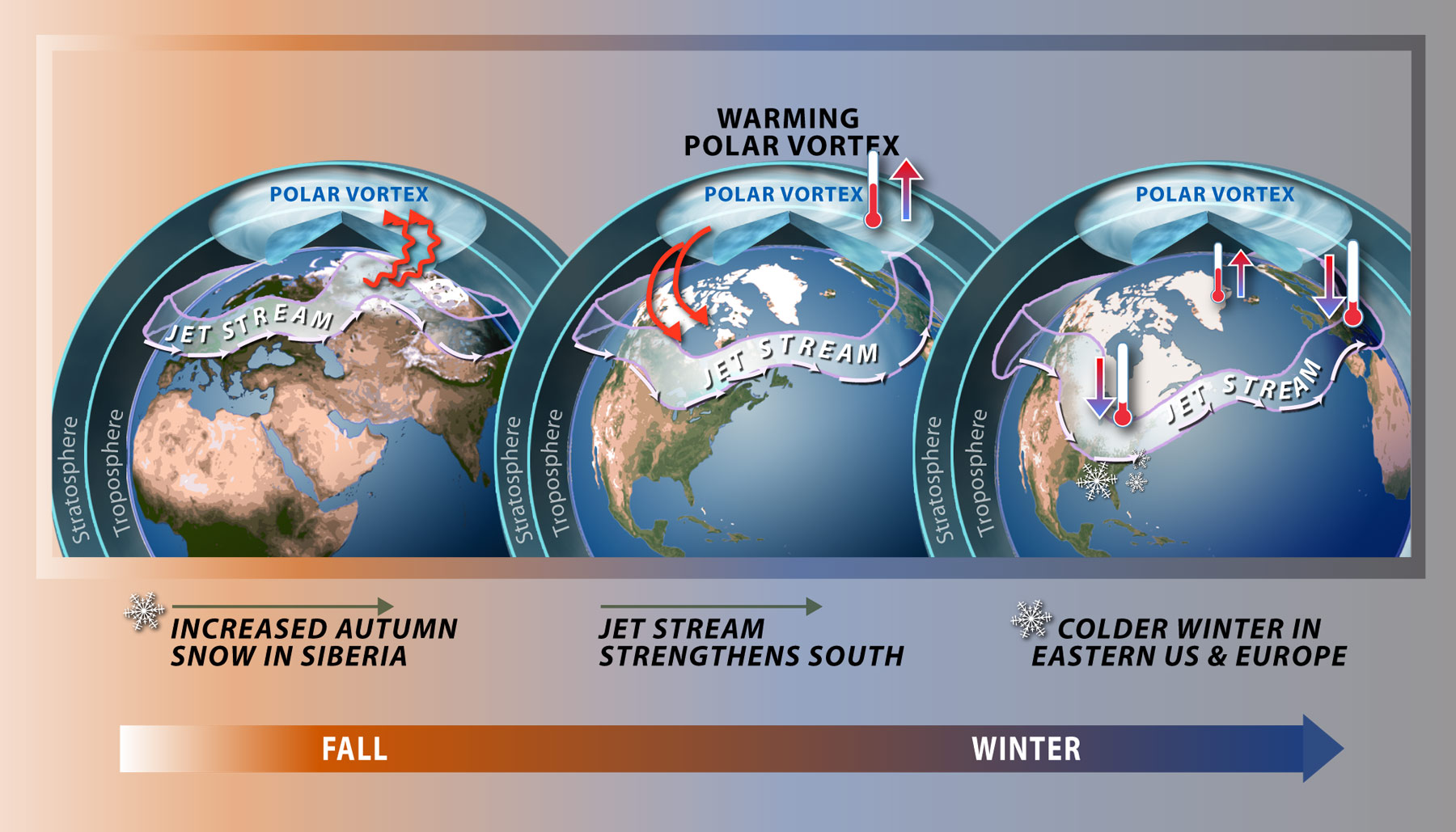 Image result for polar vortex climate change