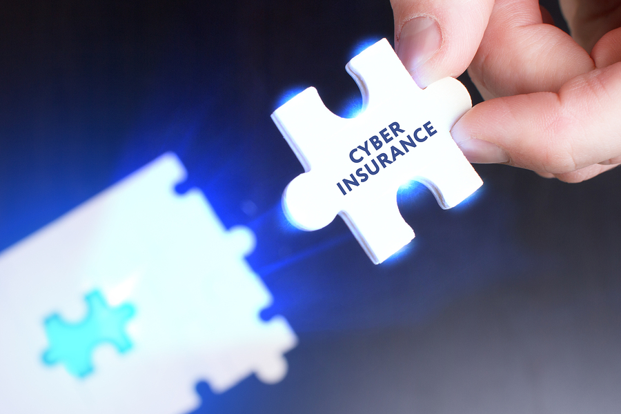 cyber insurance for small business