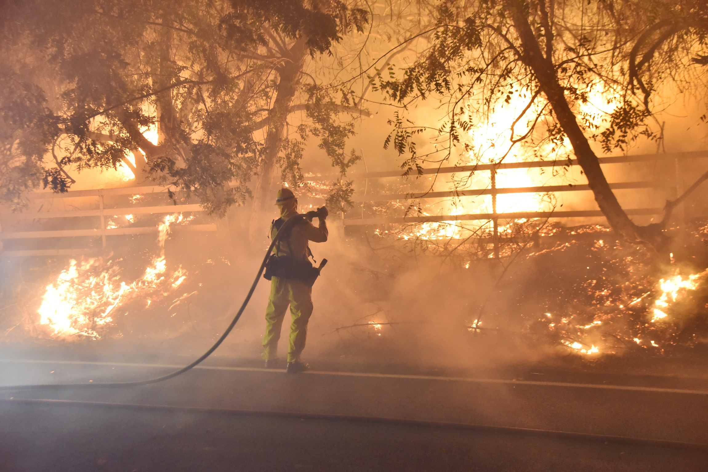 University Study Posses Possible Future for Western Wildfires as a Decade-Long Burst, Followed by Gradual Decline - Insurance Journal