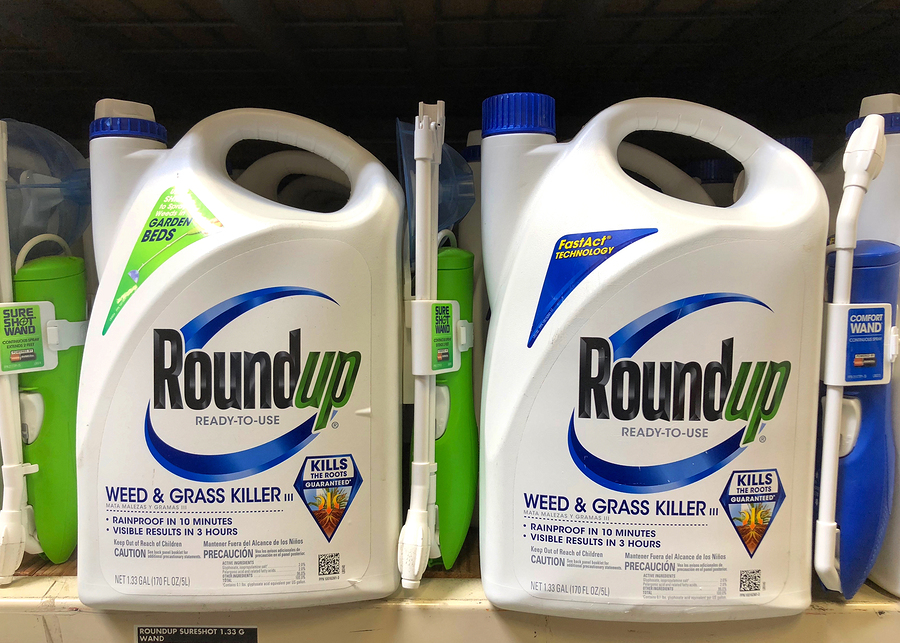 EPA statement on glyphosate: no findings of cancer caused by Roundup