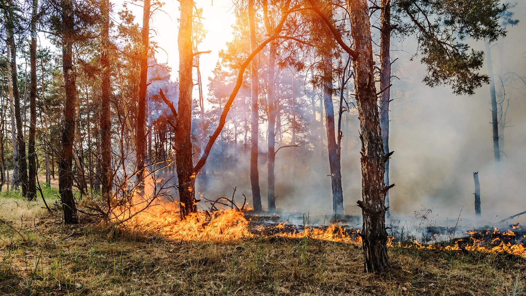 Re/insurers Rethink Climate Change Risks as Losses Grow from Wildfires, Floods, Hail - Insurance Journal