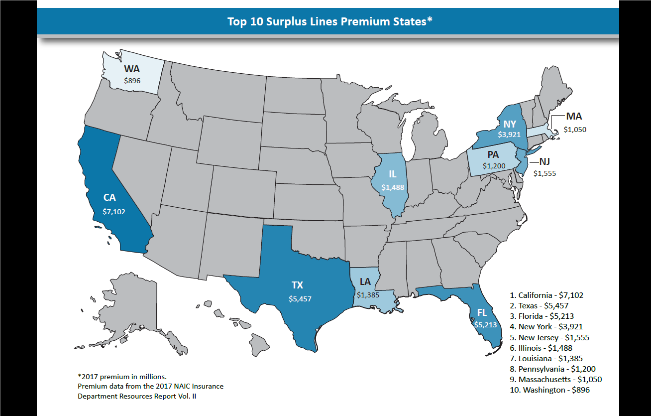 A Florida Park S Gopher Tortoise Population Exploded Thanks To Hurricane Helene