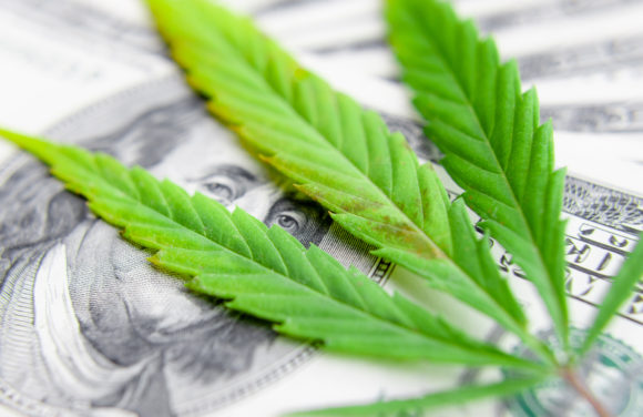 Insuring Cannabis Webinar Take Home: Carriers, Brokers Waiting on Sidelines