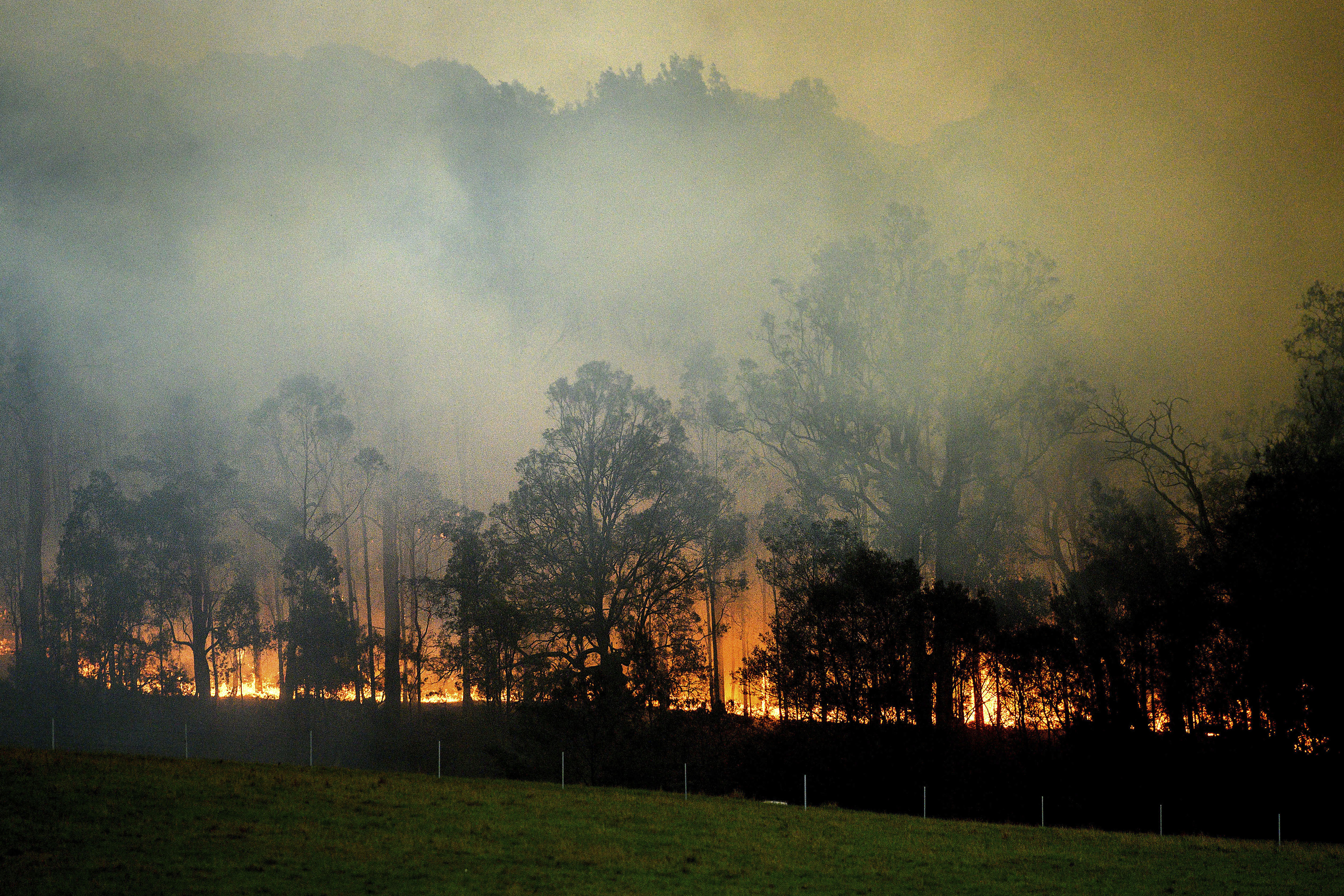 Insured Losses For 2019 2020 Australia Bushfires Estimated At A 1 9b Us 1 3b Perils