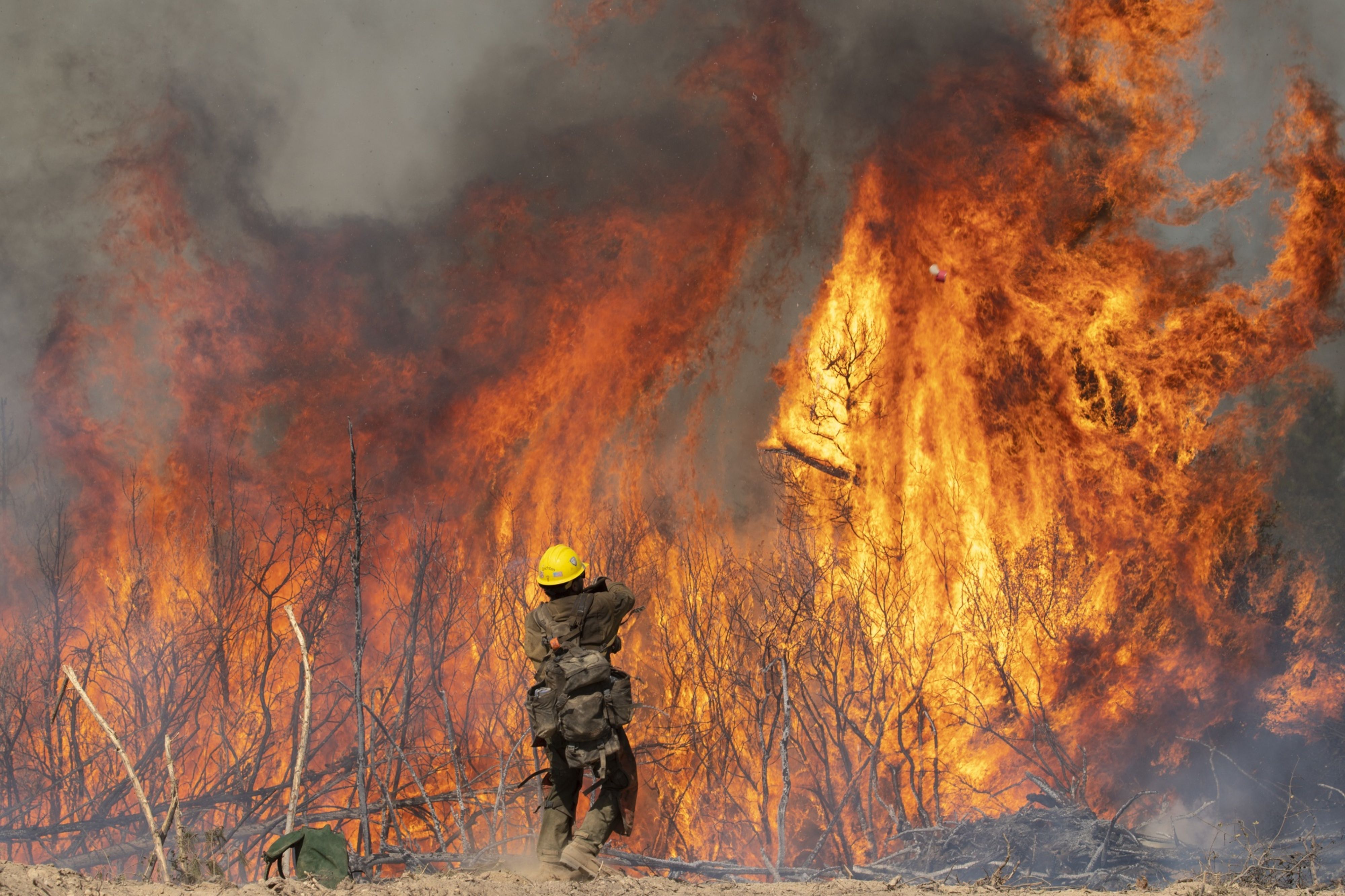 Web analysis exhibits California residents could have elevated danger of fireside hazards