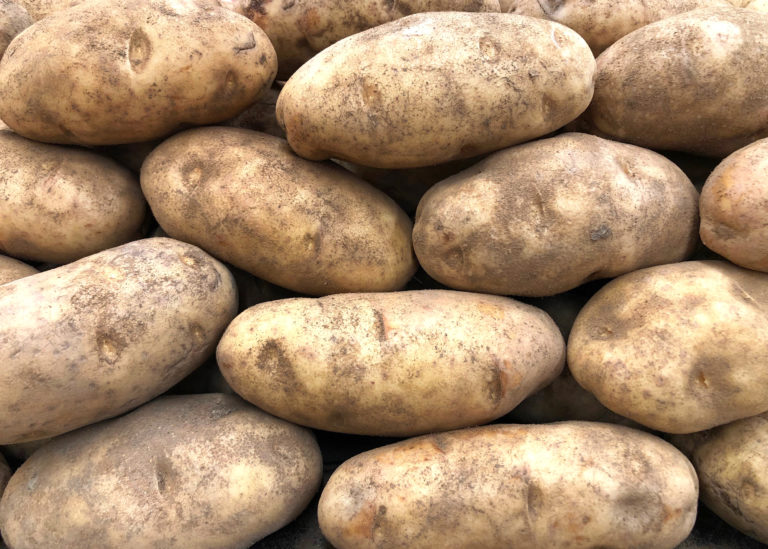 New Rules for Idaho Potato Field Quarantines