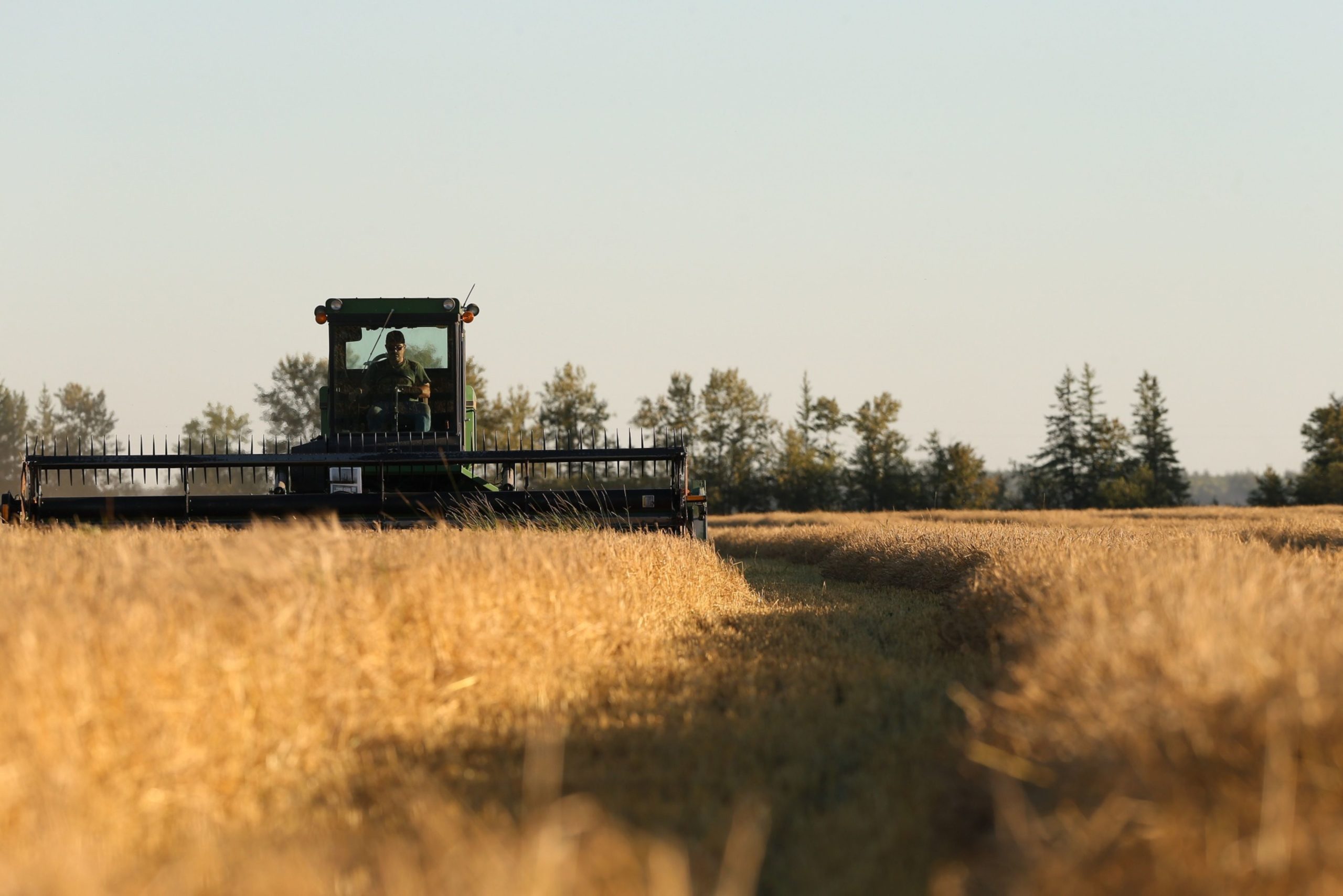 Possible Water Crisis for Ag Operations on Oregon-California Border - Insurance Journal