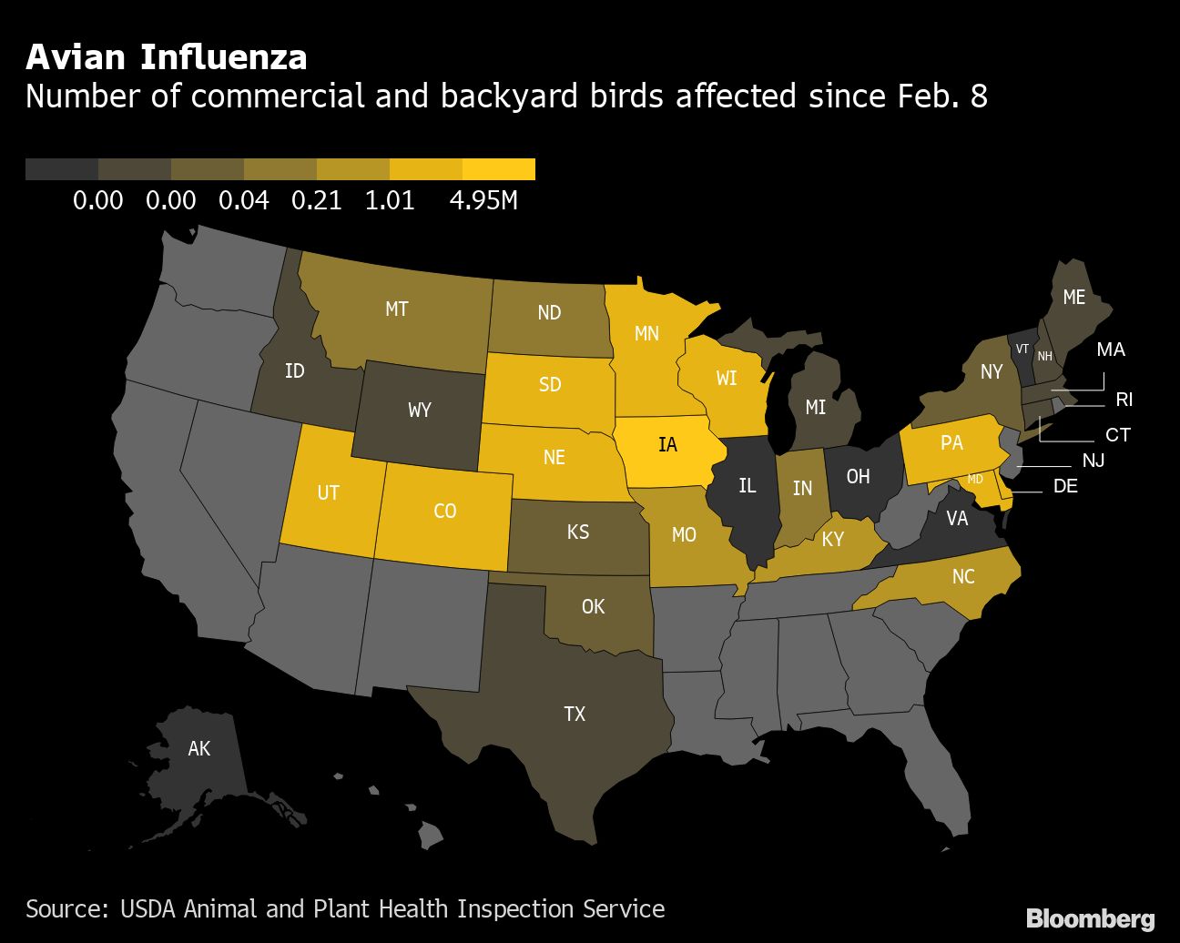 Bird Flu Outbreak Nears Worst Ever in U.S. With 37 Million Dead Chickens