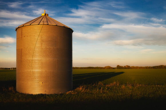 One steel grain bin in a green agriculture field in a summer countryside sunset landscape