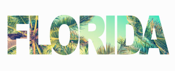 Word Florida with palm trees on white background