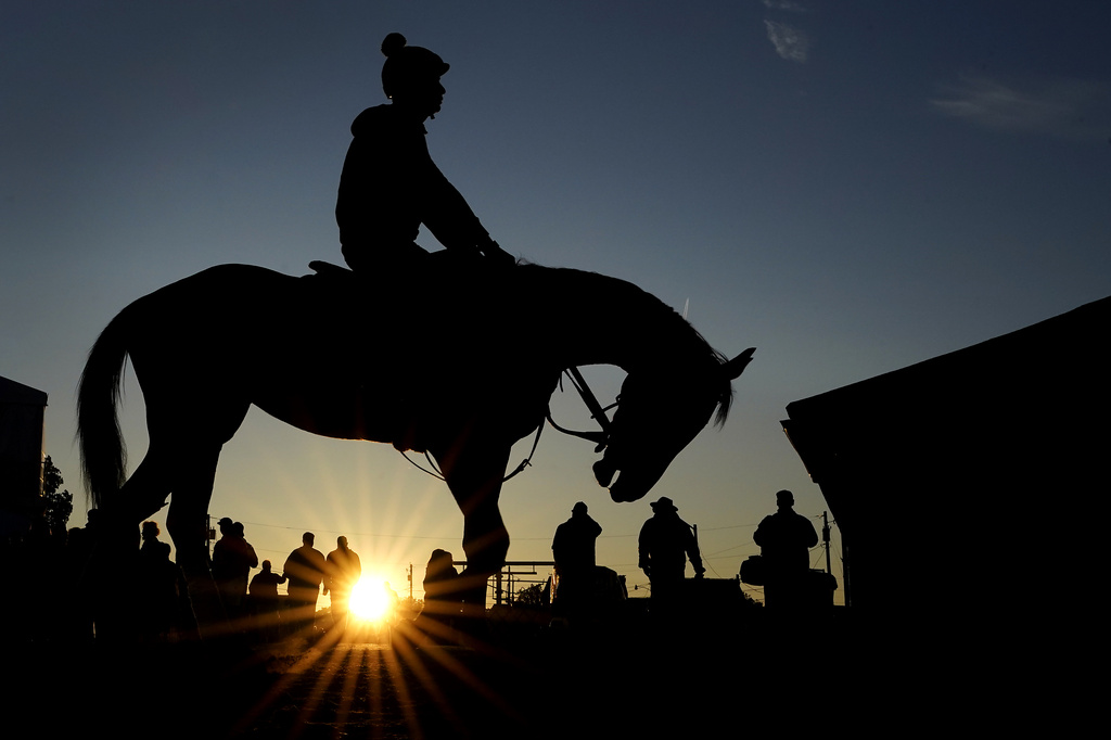 Churchill Downs Investigates 4 Horse Deaths Ahead of Kentucky Derby