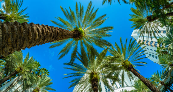 Fisheye view of beautiful Miami Beach with palm trees and art deco architecture.