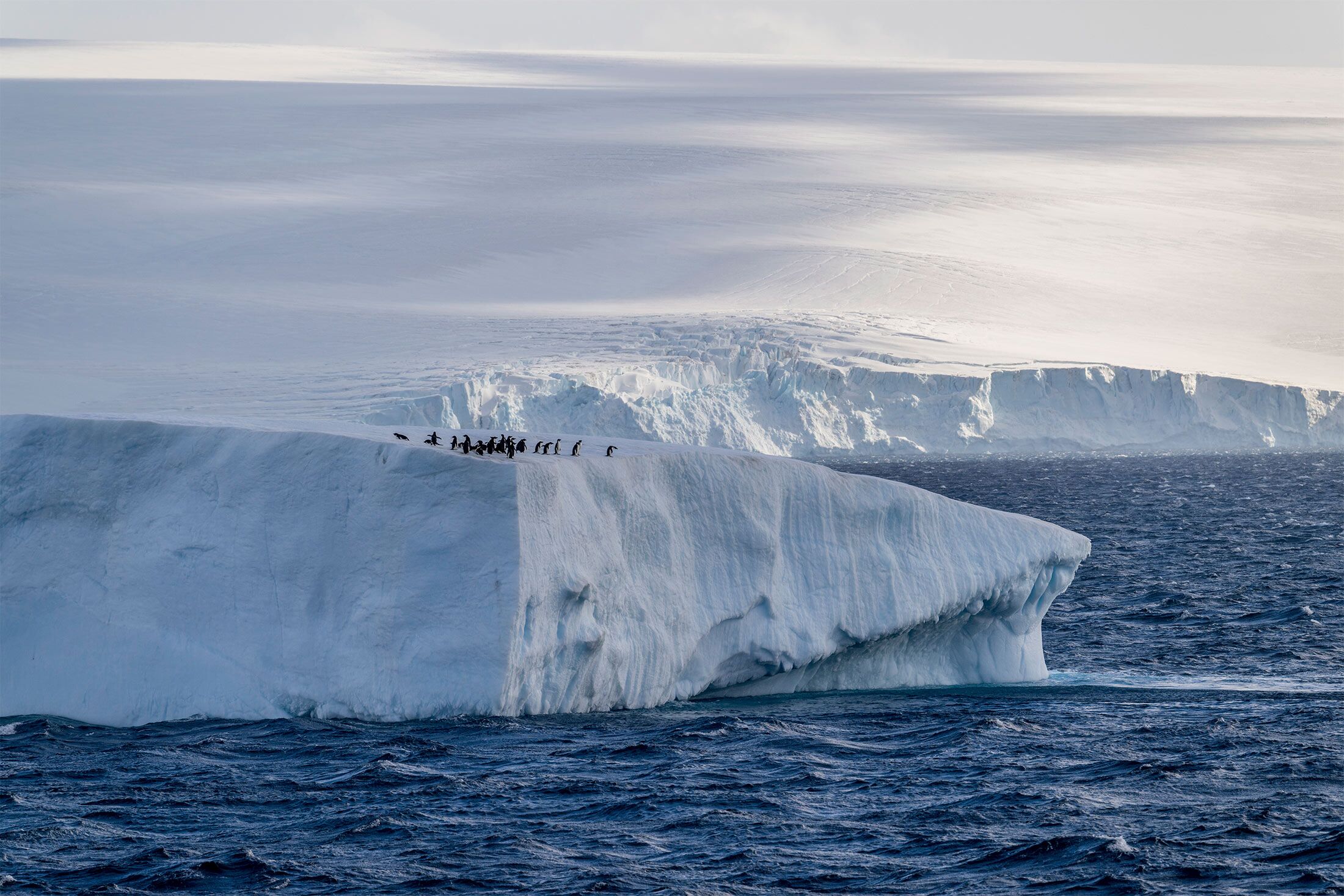 OHIO study finds recent growth and sudden declines in Antarctic sea ice to  be unique changes since early 20th century