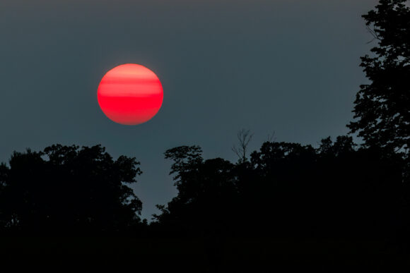 red sunset