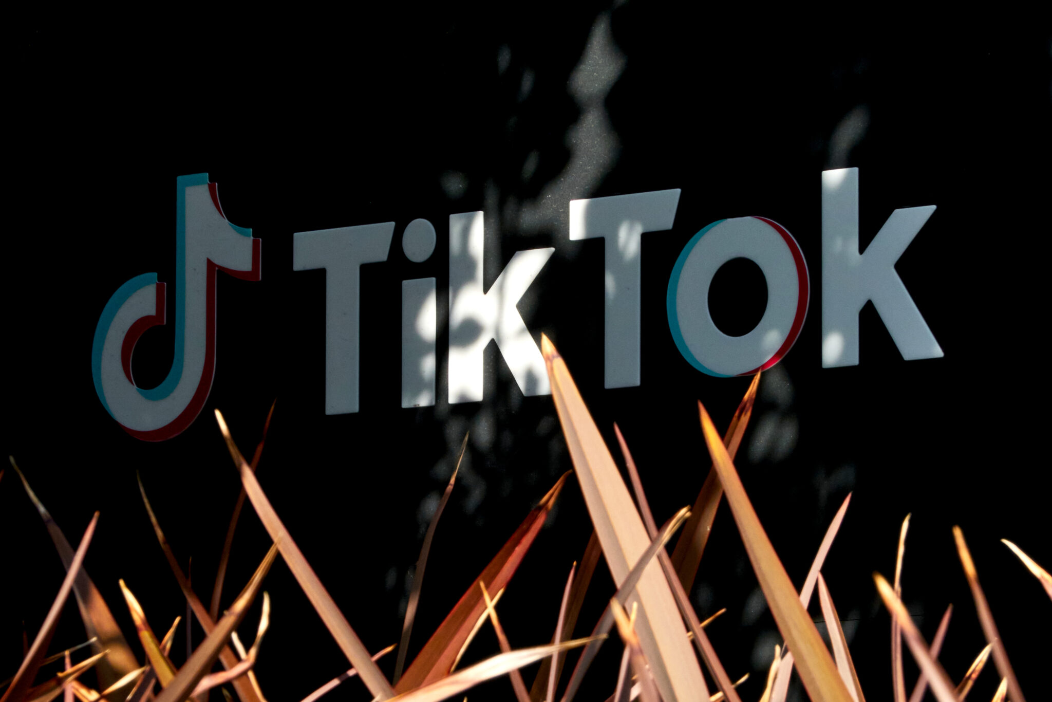 Update TikTok Sued by Families in France After Children’s Suicides