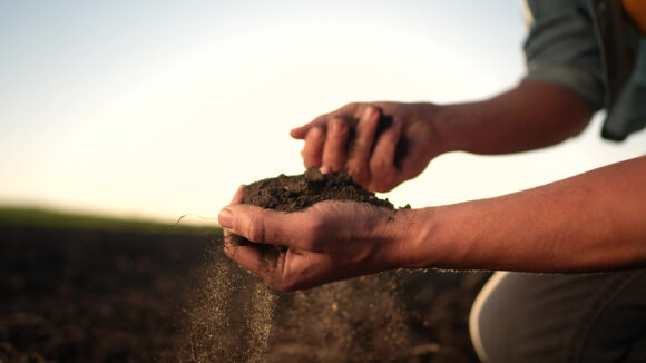soil in the hands of the farmer. agriculture. close-up of farmers hands holding black soil in sun their hands, fertile land. garden field ground fertile concept. worker holding soil plowed field