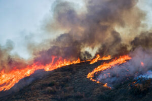 Brush and Tree Landscape Burning with Flame and Smoke During Cal