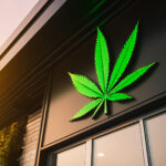 a cannabis supply store facade, with a backlit green marijuana l