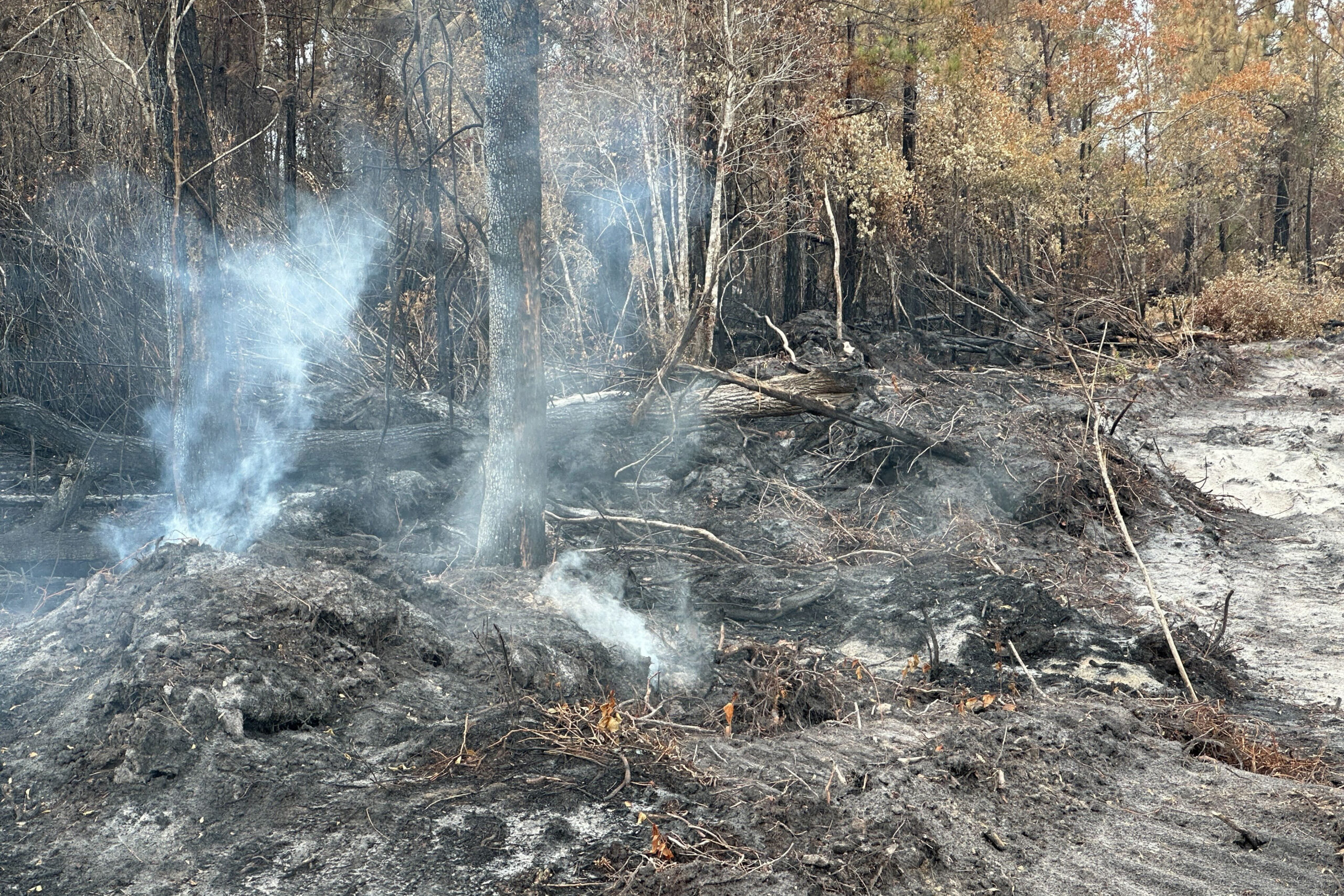 Georgia Officials Warn Prolonged Fire Battle Continues Despite Recent Rains