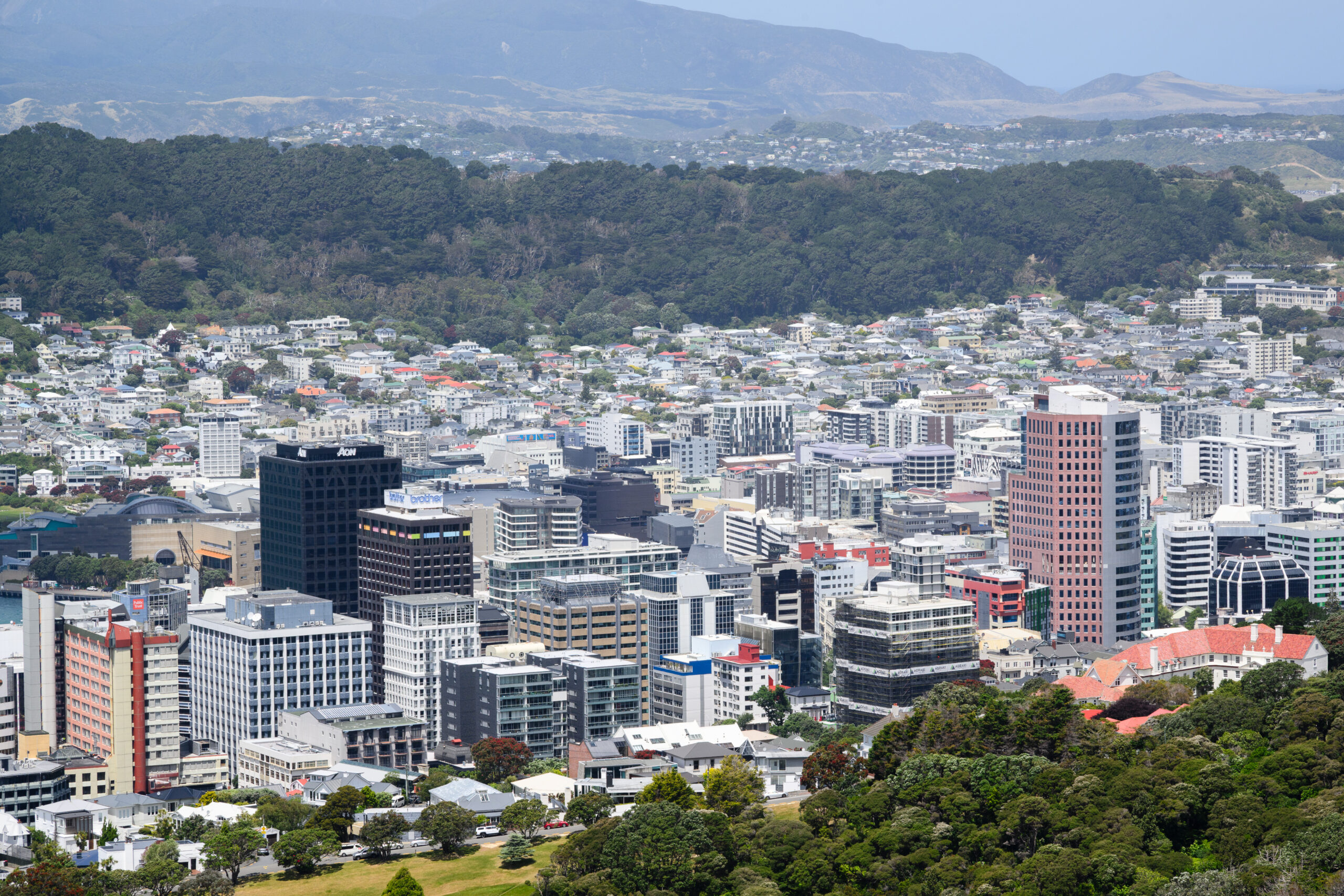 New Zealand Moves to Shield Greenhouse Gas Emitters From Private Climate Litigation